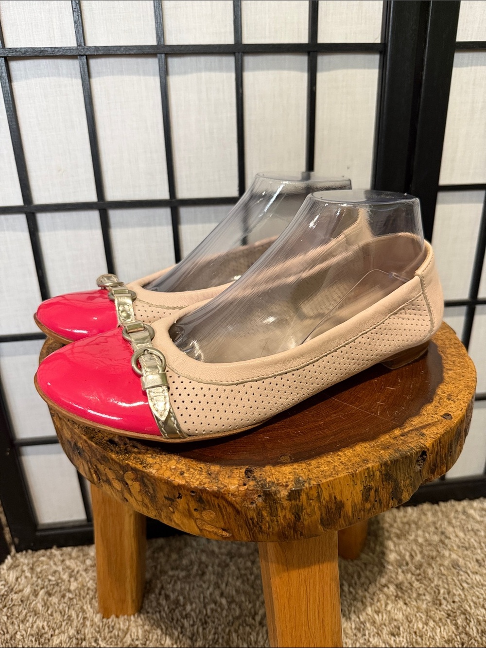 AGL Monika Pale and Bold Pink Leather Ballet Flats with Silver Buckle Rubber Toe